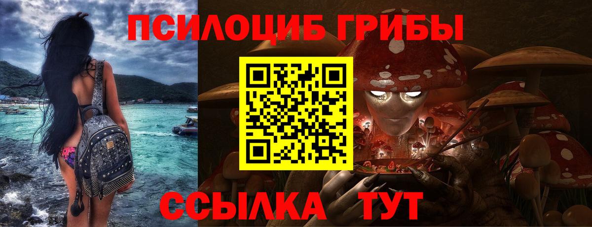 Шумерля  Псилоцибиновые грибы Magic Shrooms  Вход с VPN 